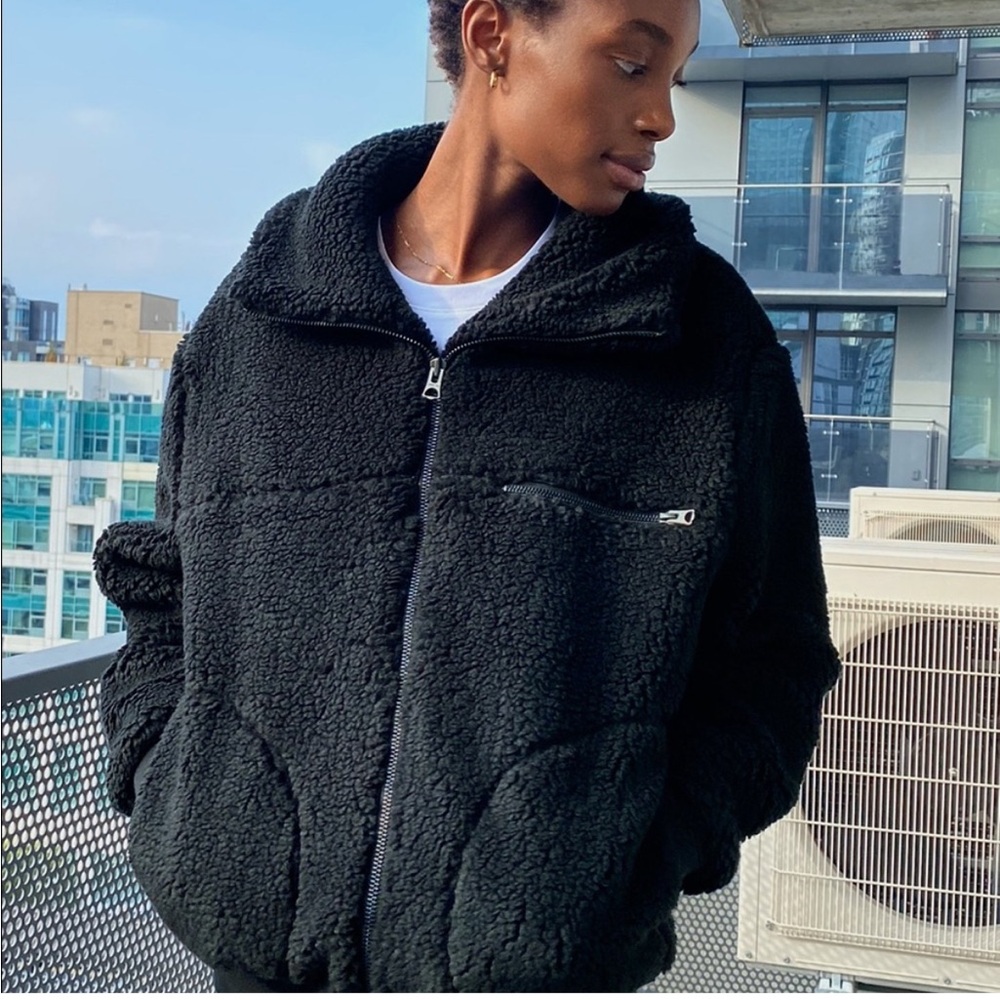 Aritzia Wilfred-Free - The Teddy Coat